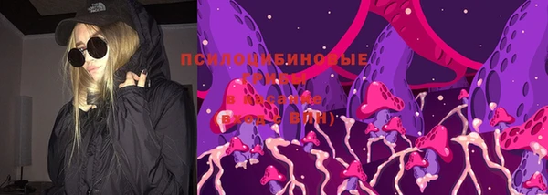 спайс Касимов