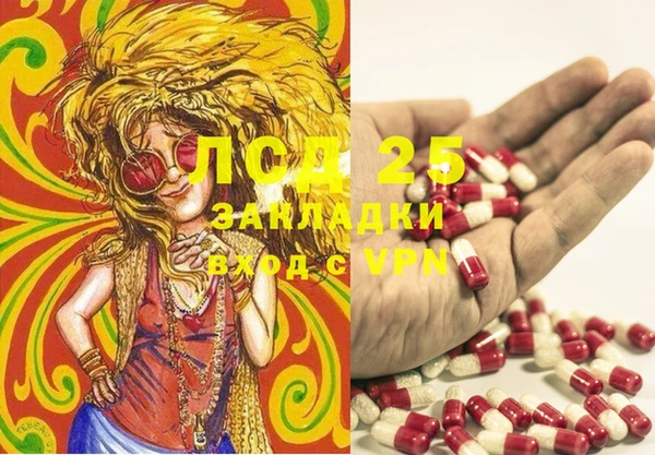 спайс Касимов